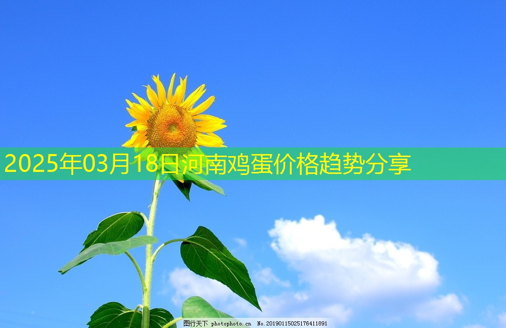 2025年03月18日河南鸡蛋价格趋势分享