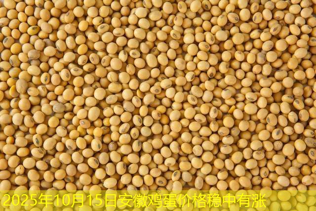 2025年10月15日安徽鸡蛋价格稳中有涨