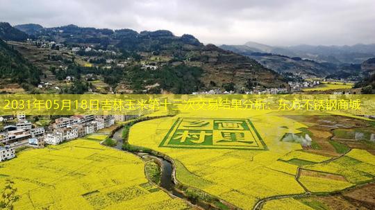 2031年05月18日吉林玉米第十三次交易结果分析