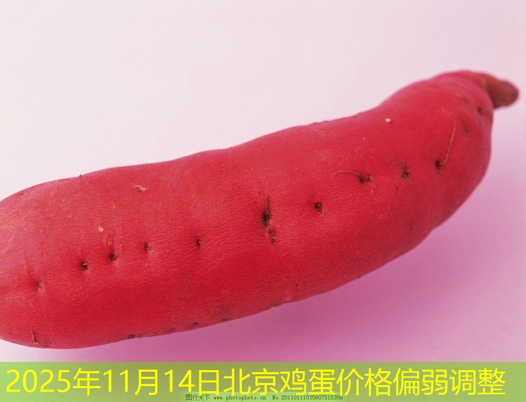 2025年11月14日北京鸡蛋价格偏弱调整