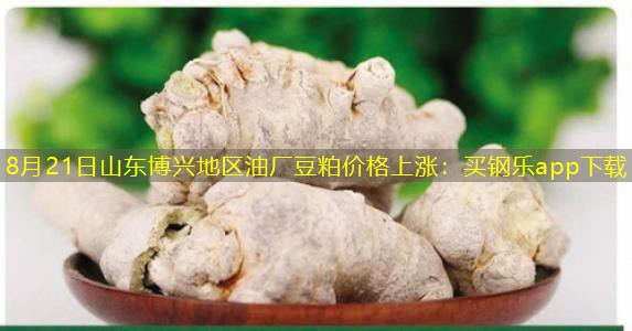 8月21日山东博兴地区油厂豆粕价格上涨：买钢乐app下载