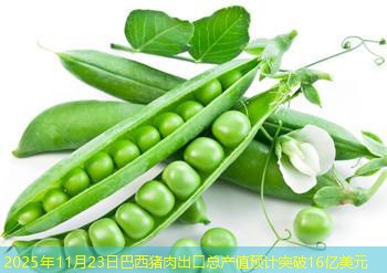 2025年11月23日巴西猪肉出口总产值预计突破16亿美元