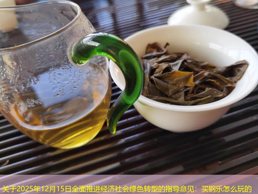 关于2025年12月15日全面推进经济社会绿色转型的指导意见：买钢乐怎么玩的