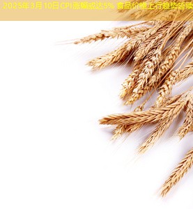 2025年3月10日CPI涨幅或达5% 食品价格上行趋势延续