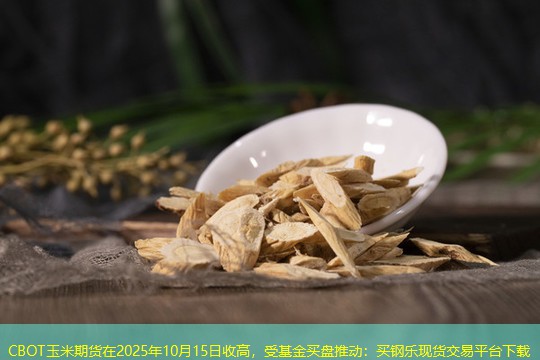 CBOT玉米期货在2025年10月15日收高，受基金买盘推动