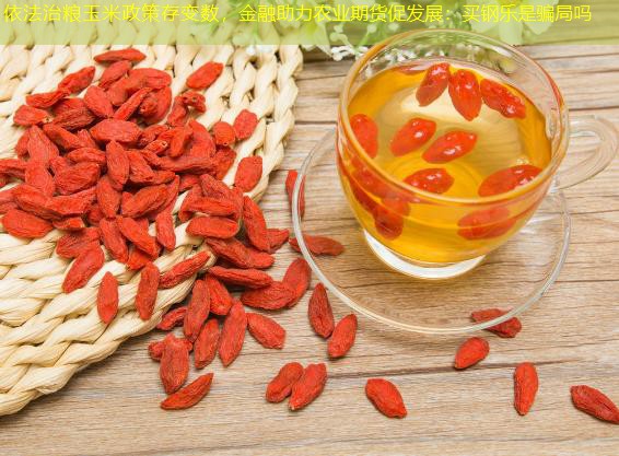 依法治粮玉米政策存变数，金融助力农业期货促发展：买钢乐是骗局吗