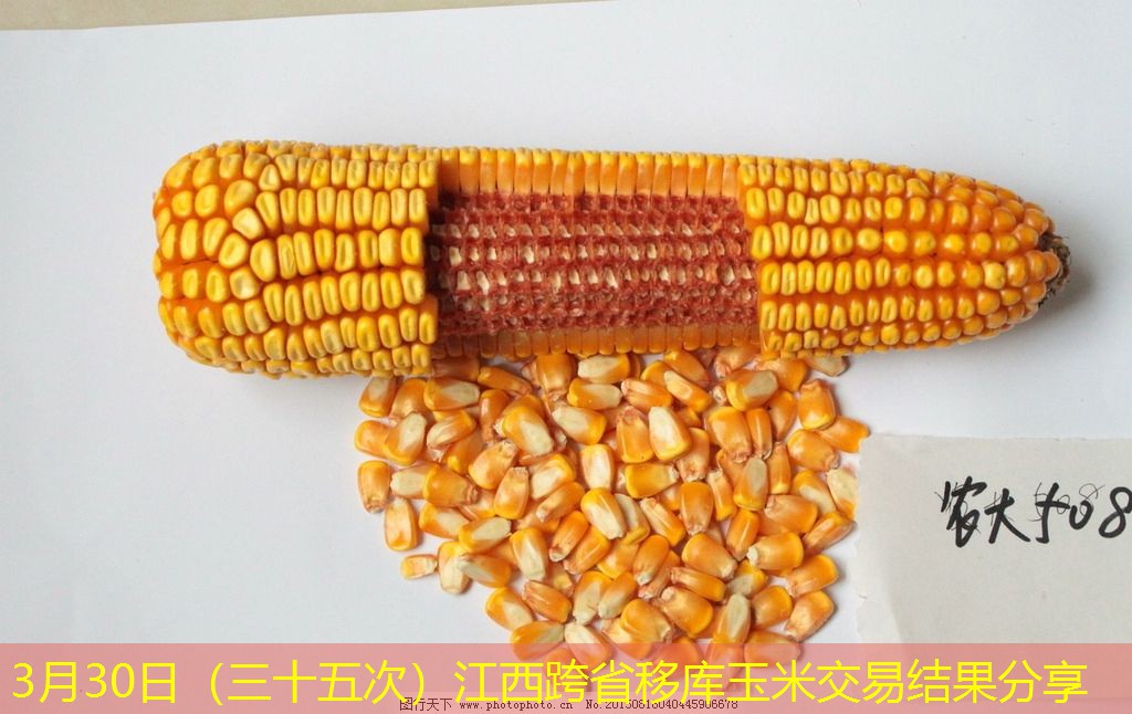 3月30日（三十五次）江西跨省移库玉米交易结果分享