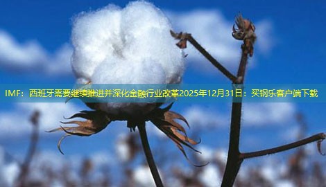 IMF：西班牙需要继续推进并深化金融行业改革2025年12月31日：买钢乐客户端下载