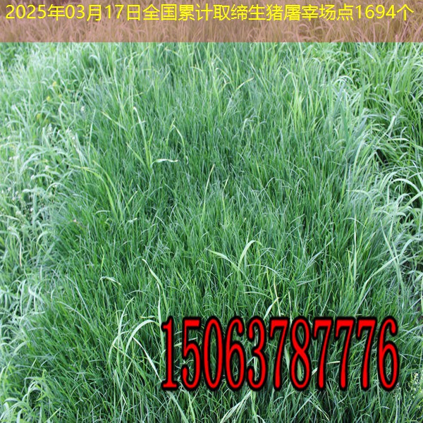 2025年03月17日全国累计取缔生猪屠宰场点1694个