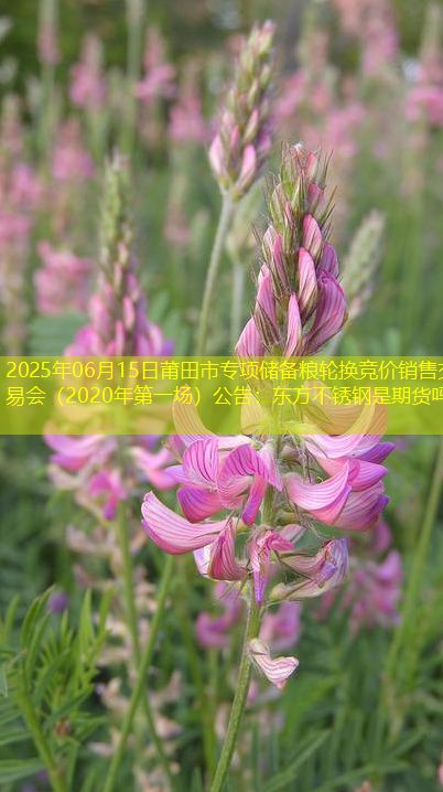 2025年06月15日莆田市专项储备粮轮换竞价销售交易会（2020年第一场）公告：东方不锈钢是期货吗