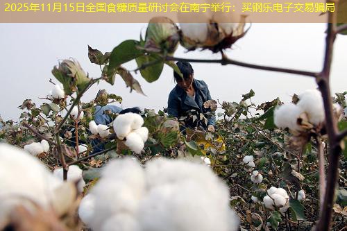 2025年11月15日全国食糖质量研讨会在南宁举行：买钢乐电子交易骗局