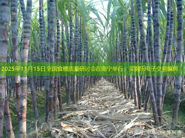 2025年11月15日全国食糖质量研讨会在南宁举行