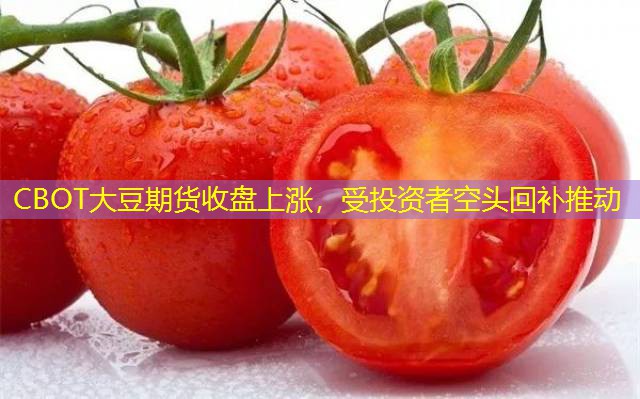 CBOT大豆期货收盘上涨，受投资者空头回补推动