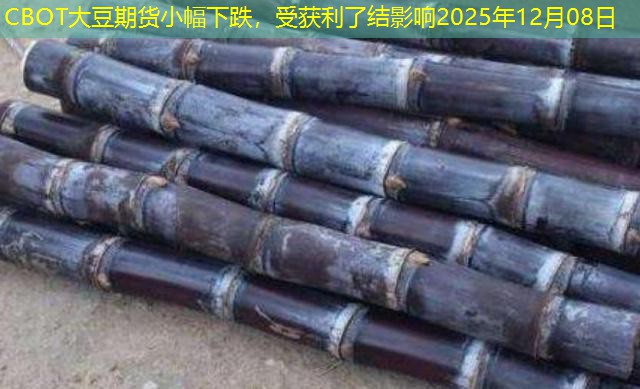 CBOT大豆期货小幅下跌，受获利了结影响2025年12月08日