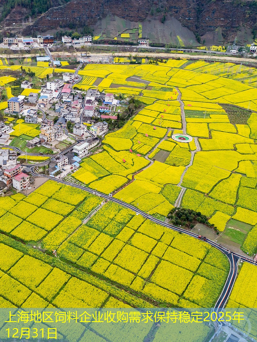 上海地区饲料企业收购需求保持稳定2025年12月31日