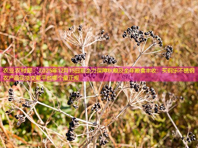 农业农村部：2025年12月15日前全力保障秋粮及全年粮食丰收：买钢乐不锈钢农产品现货交易平台哪个最正规