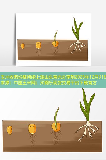 玉米收购价格持续上涨山东寿光分享到2025年12月31日来源：中国玉米网：买钢乐现货交易平台下载官方