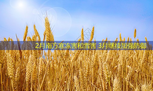 2月南方寒冻害和雪害 3月继续加强防御