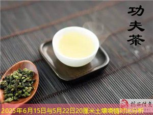 2025年6月15日与5月22日20厘米土壤墒情对比分析