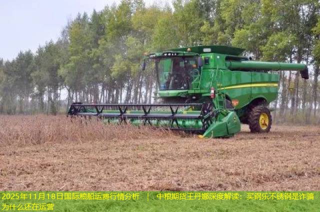 2025年11月18日国际粮船运费行情分析 ｜ 中粮期货王丹娜深度解读：买钢乐不锈钢是诈骗为什么还在运营