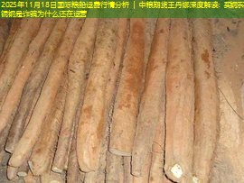 2025年11月18日国际粮船运费行情分析 ｜ 中粮期货王丹娜深度解读