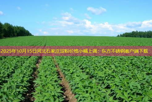 2025年10月15日河北石家庄淀粉价格小幅上调：东方不锈钢客户端下载