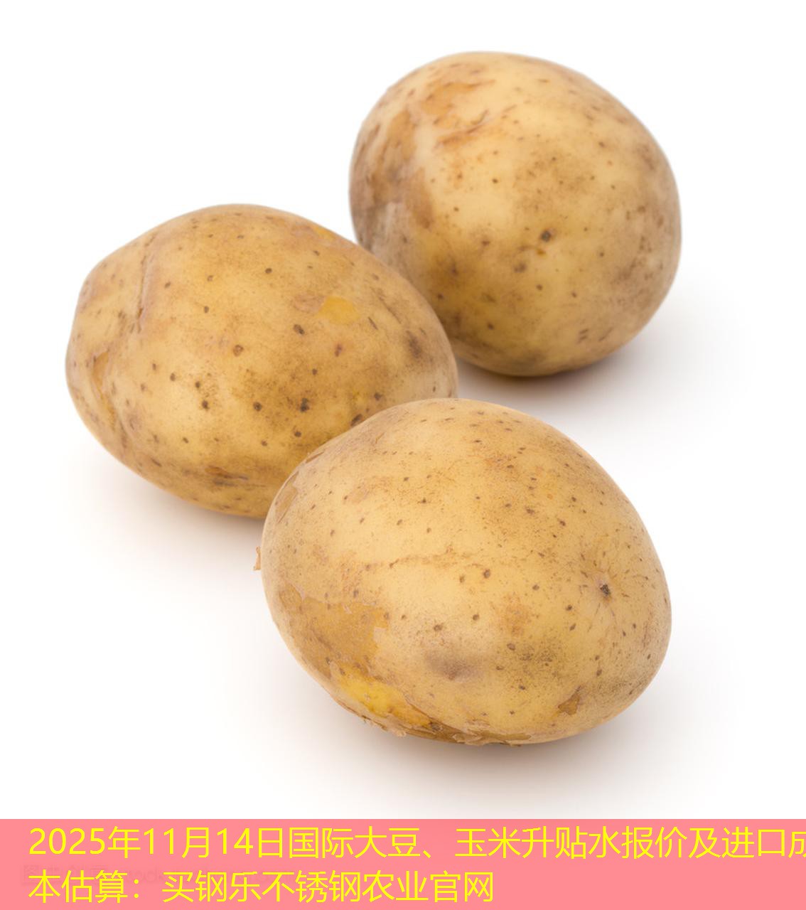 2025年11月14日国际大豆、玉米升贴水报价及进口成本估算