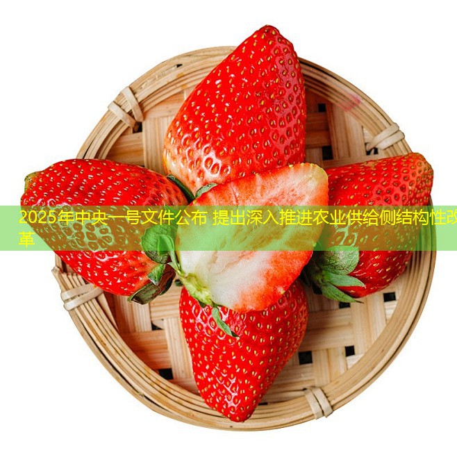 2025年中央一号文件公布 提出深入推进农业供给侧结构性改革