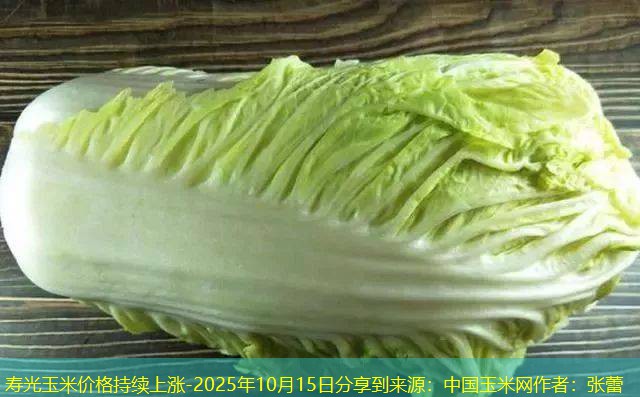 寿光玉米价格持续上涨-2025年10月15日分享到来源：中国玉米网作者：张蕾
