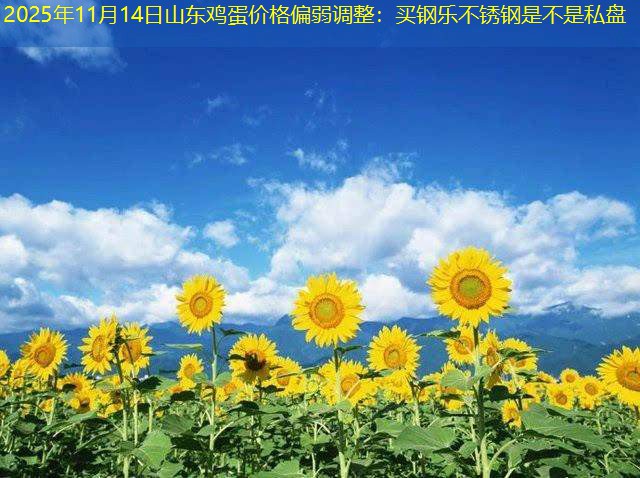 2025年11月14日山东鸡蛋价格偏弱调整：买钢乐不锈钢是不是私盘
