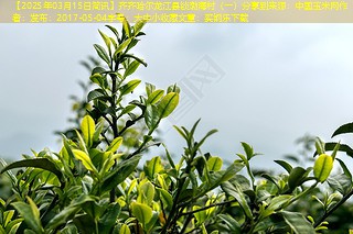 【2025年03月15日简讯】齐齐哈尔龙江县锁渤海村（一）分享到来源：中国玉米网作者：发布：2017-05-04字号：大中小收藏文章