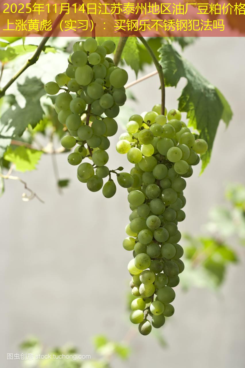 2025年11月14日江苏泰州地区油厂豆粕价格上涨黄彪（实习）：买钢乐不锈钢犯法吗