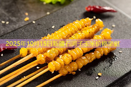 2025年10月15日新疆石河子玉米价格坚挺