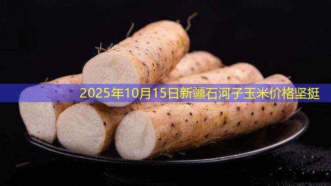 2025年10月15日新疆石河子玉米价格坚挺