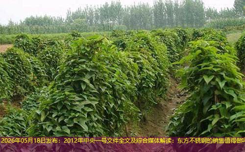 2026年05月18日发布：2012年中央一号文件全文及综合媒体解读