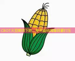 CBOT大豆期货下跌，受买盘枯竭等因素打压