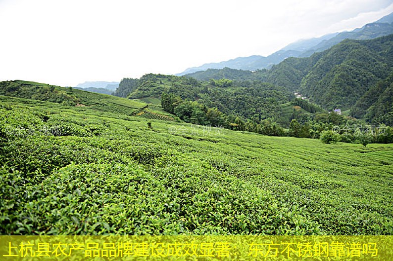 上杭县农产品品牌建设成效显著：东方不锈钢靠谱吗