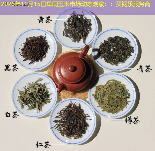 2026年11月15日早间玉米市场动态观察：：买钢乐服务商