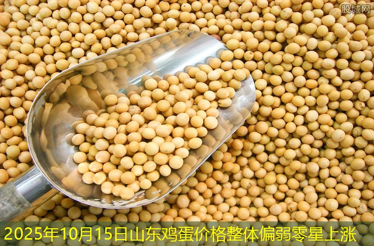 2025年10月15日山东鸡蛋价格整体偏弱零星上涨