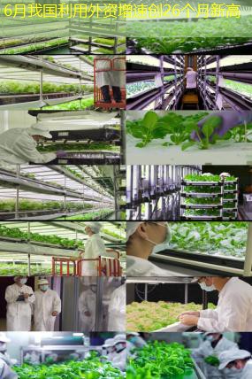 6月我国利用外资增速创26个月新高