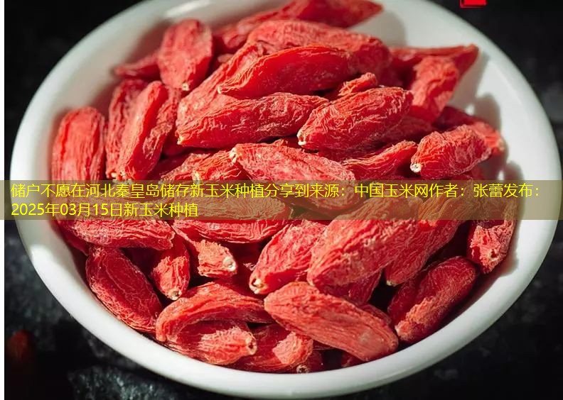 储户不愿在河北秦皇岛储存新玉米种植分享到来源：中国玉米网作者：张蕾发布：2025年03月15日新玉米种植