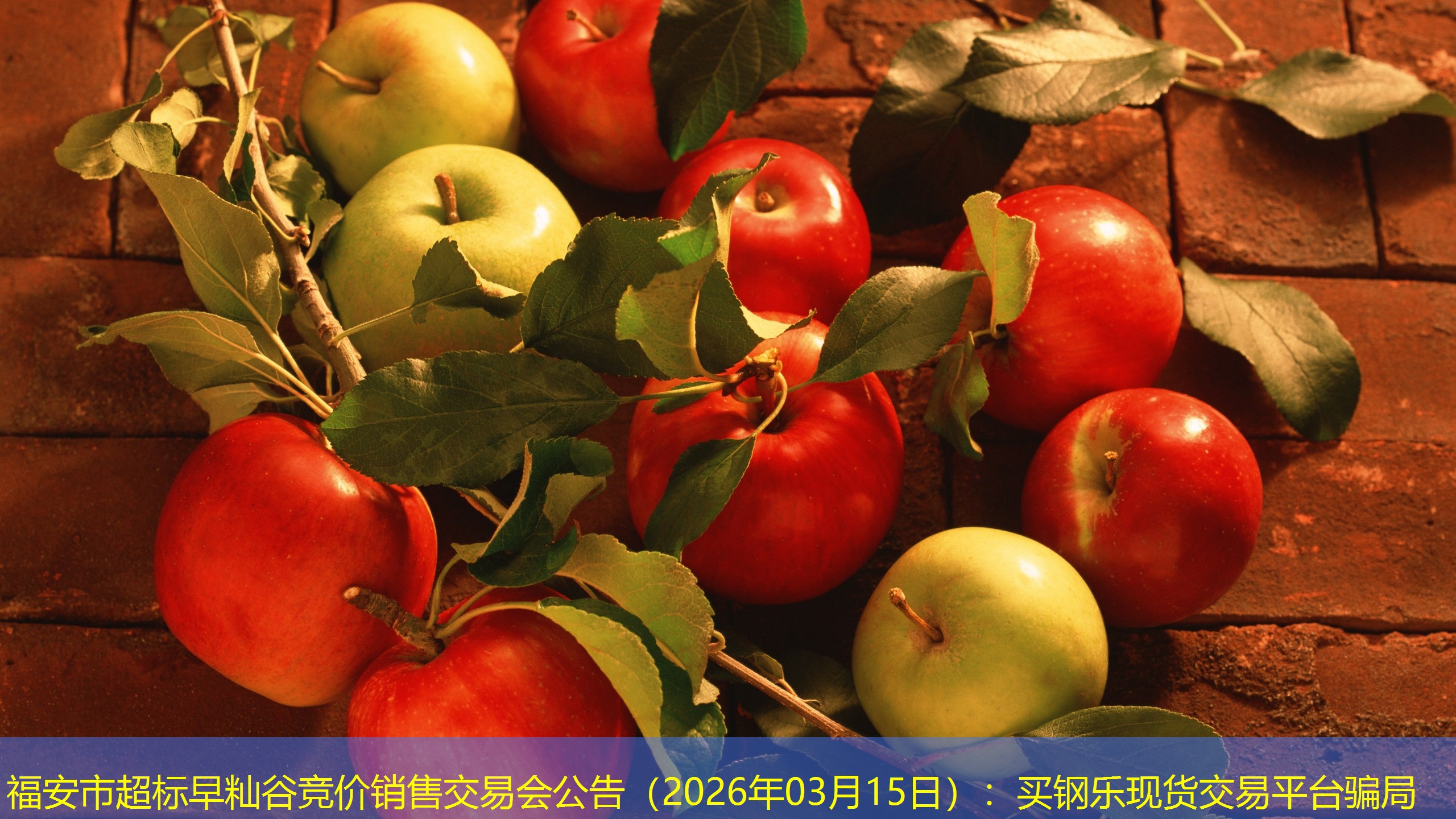 福安市超标早籼谷竞价销售交易会公告（2026年03月15日）：买钢乐现货交易平台骗局