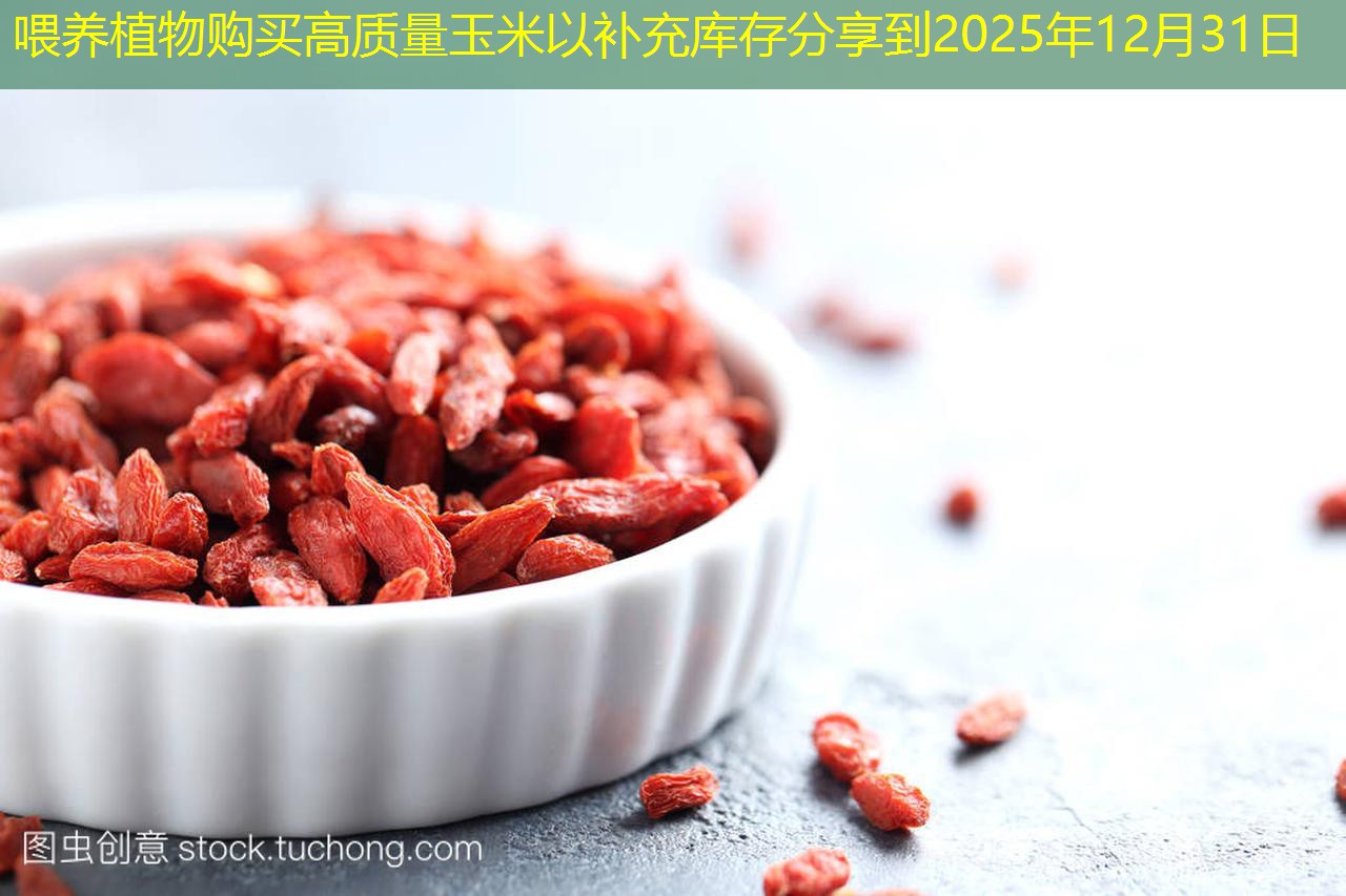 喂养植物购买高质量玉米以补充库存分享到2025年12月31日