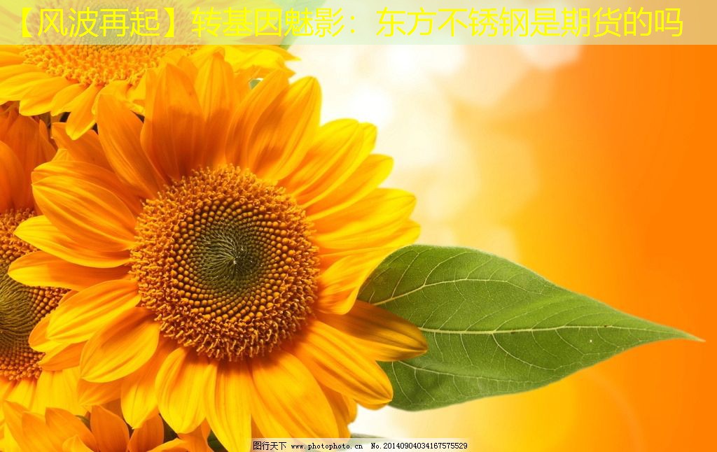 【风波再起】转基因魅影