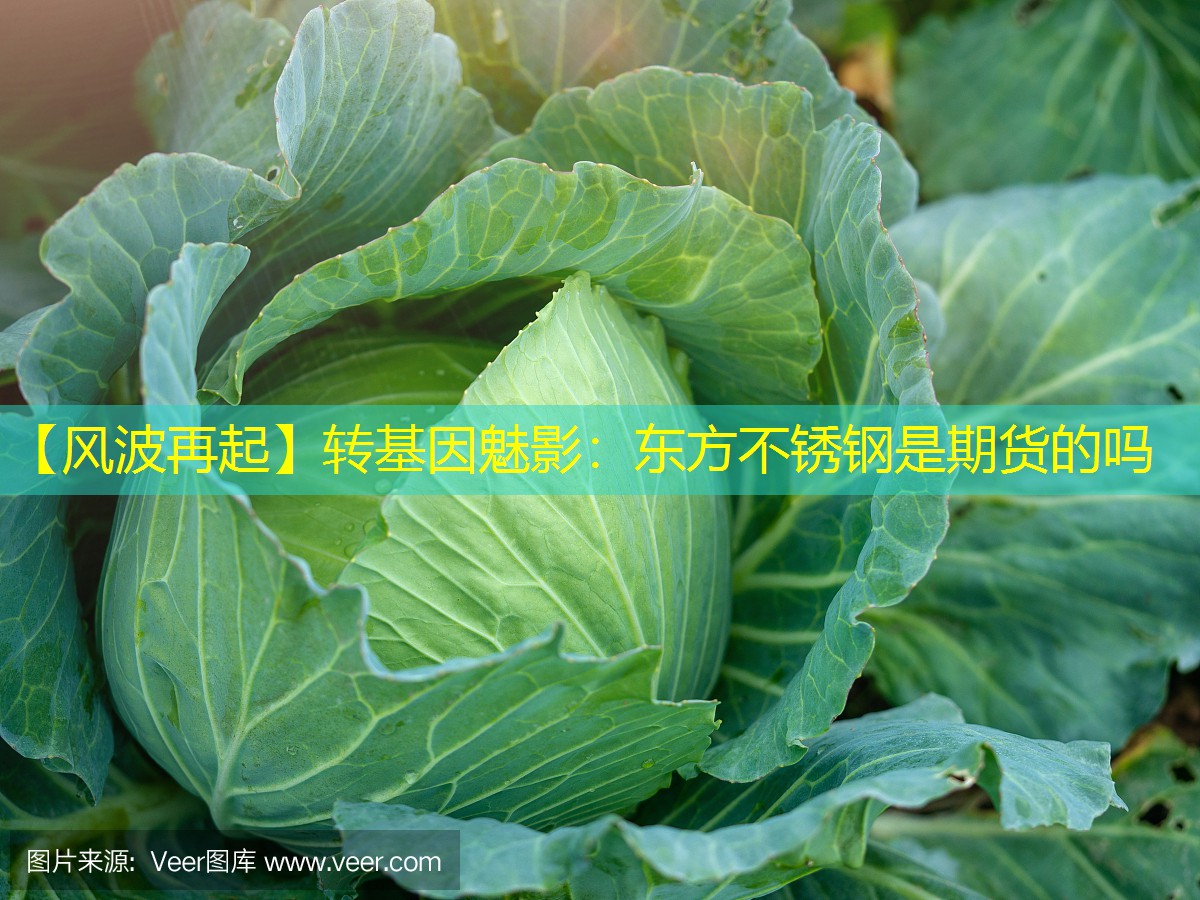 【风波再起】转基因魅影