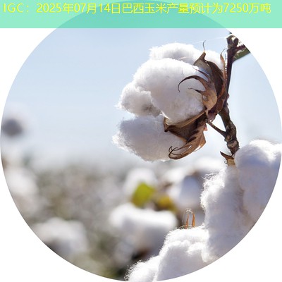 IGC：2025年07月14日巴西玉米产量预计为7250万吨