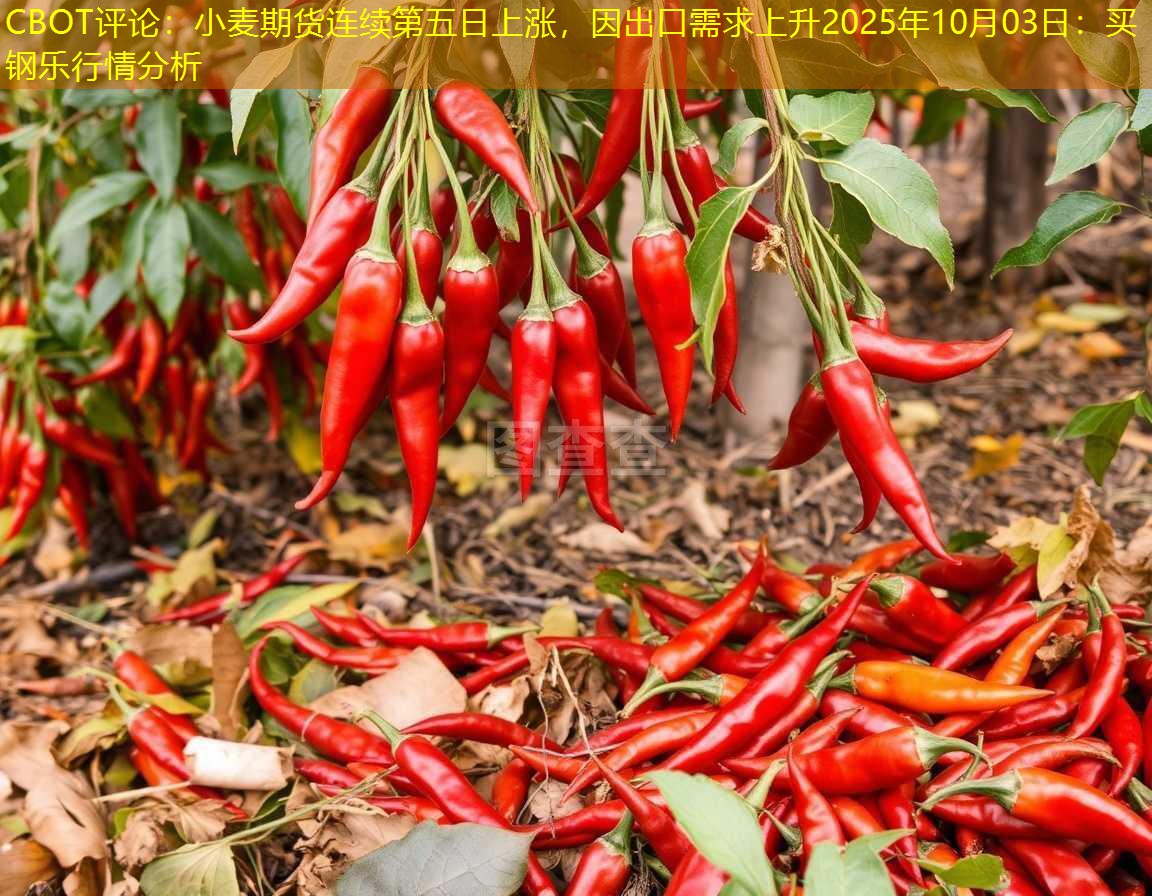 CBOT评论：小麦期货连续第五日上涨，因出口需求上升2025年10月03日：买钢乐行情分析