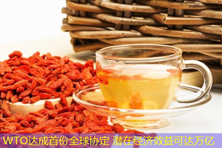 WTO达成首份全球协定 潜在经济效益可达万亿