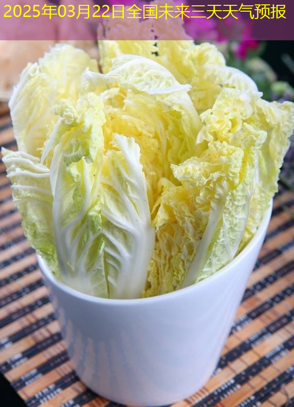 2025年03月22日全国未来三天天气预报