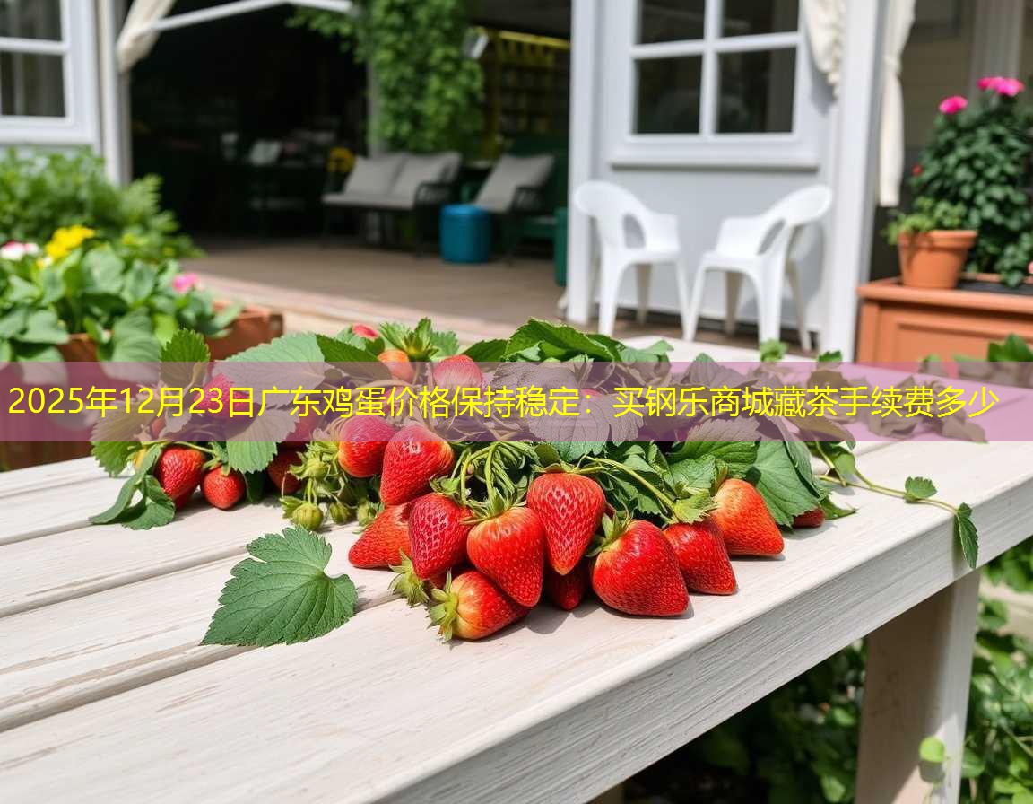 2025年12月23日广东鸡蛋价格保持稳定：买钢乐商城藏茶手续费多少